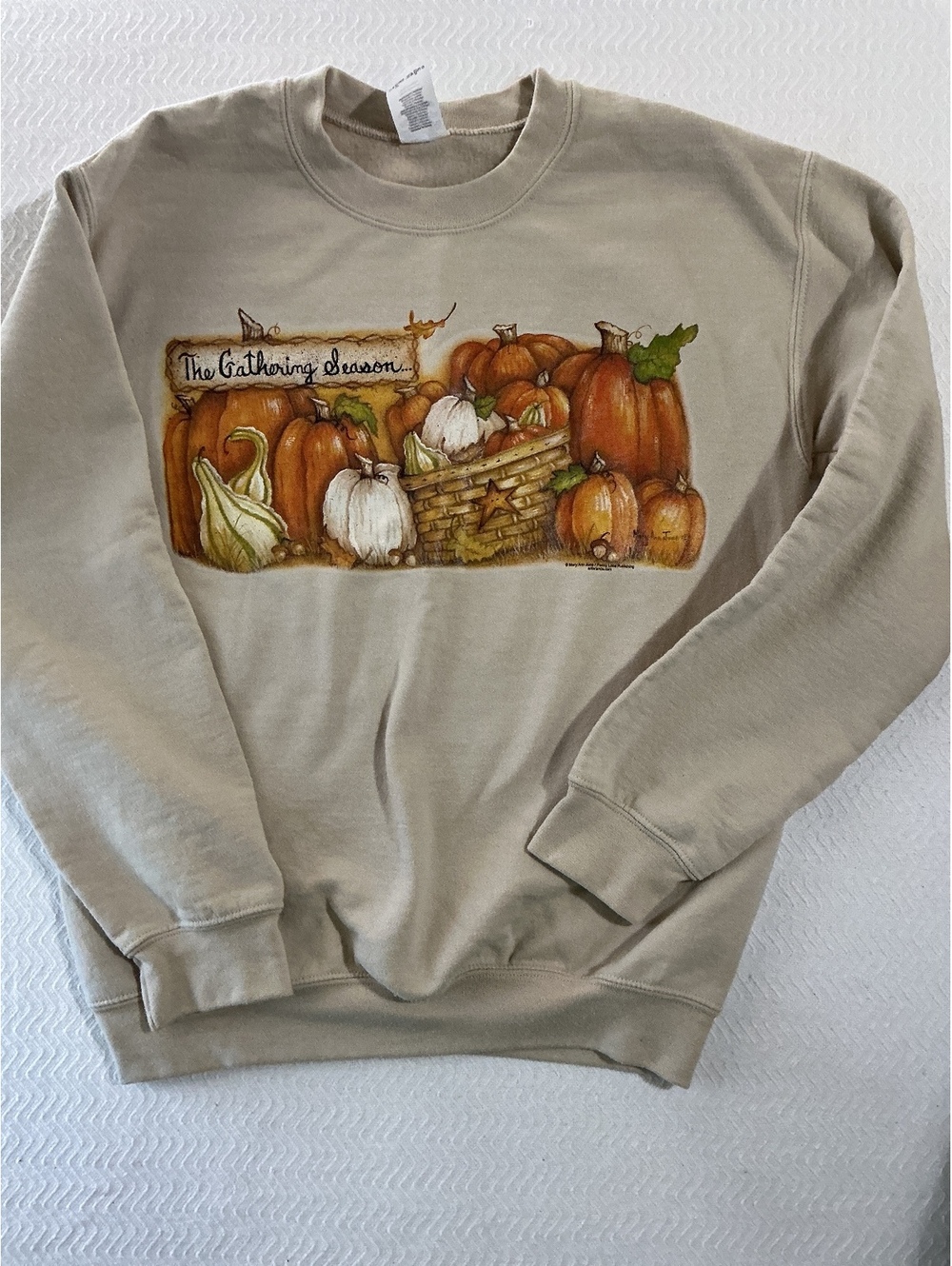 The Gathering Season Women's Beige Sweatshirt with Pumpkin Design Size Small
